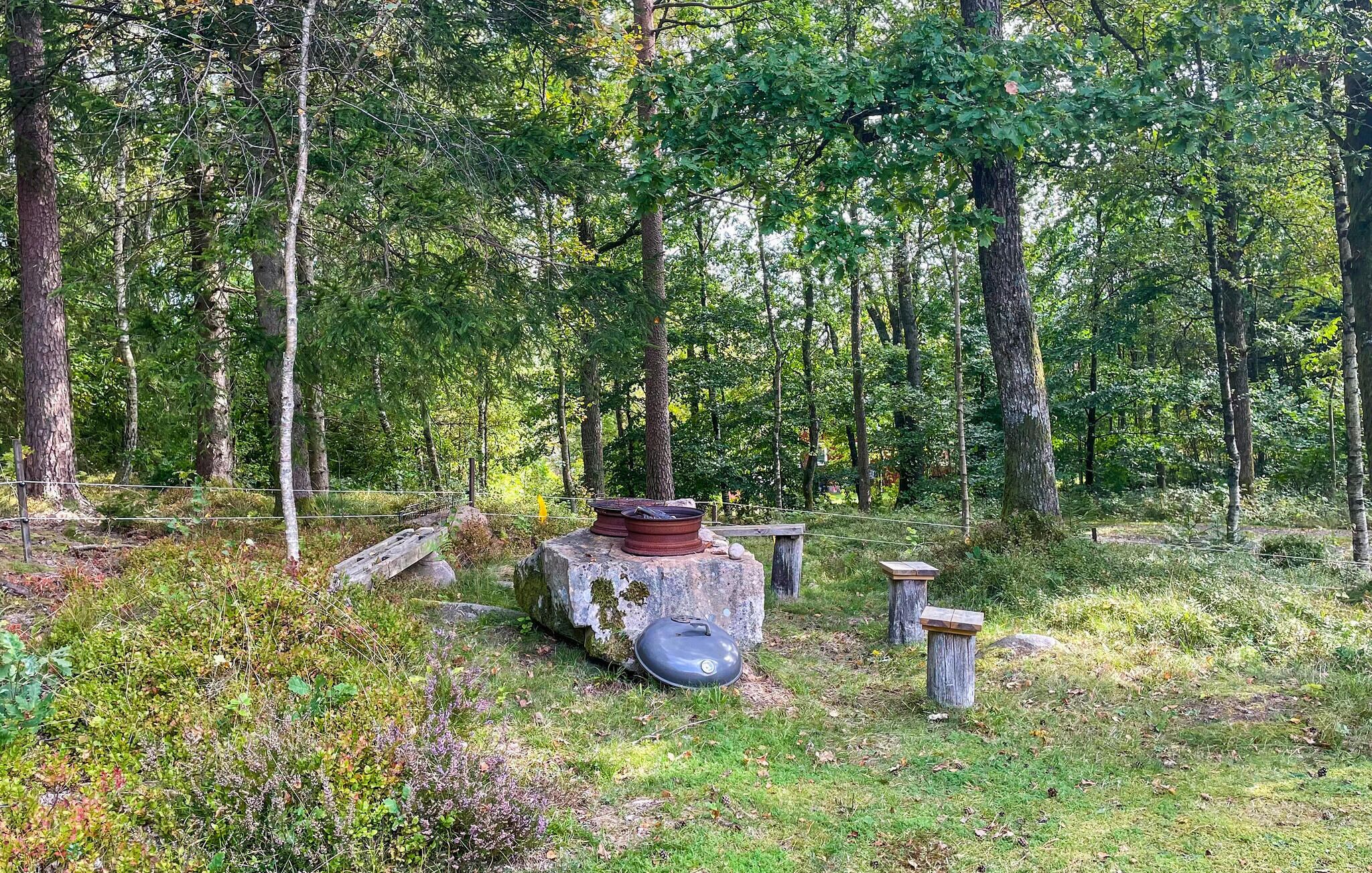 Ein bewaldetes Gebiet mit einer Steinstruktur, möglicherweise eine historische Stätte oder ein Denkmal, umgeben von Bäumen und dichter Vegetation.