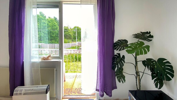 Een kamer met een radiator, een raam met paarse gordijnen, een grote plant en een tv-meubel.