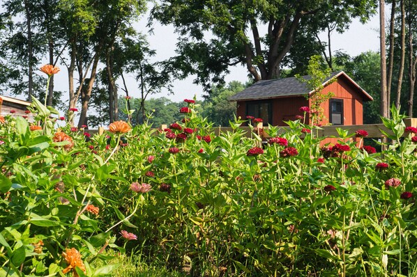 Enceinte de l’hébergement
