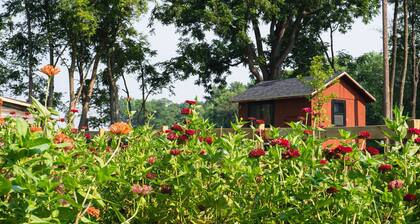 Quiet Retreat - Guest House on Flower Farm - Sleeps 7