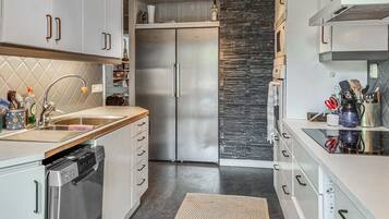 Fridge, oven, stovetop, dishwasher