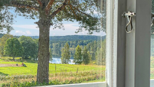 Une vue à travers une fenêtre sur un paysage naturel comprenant un lac, des arbres et une zone herbeuse.