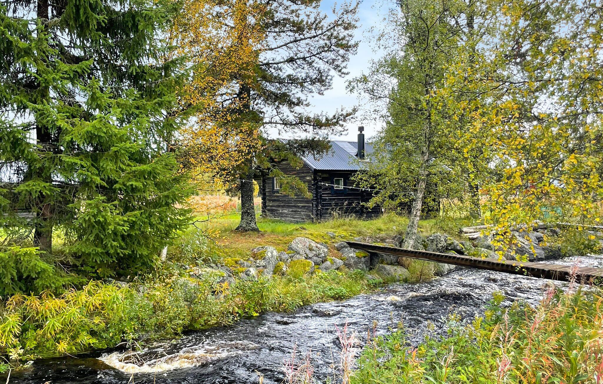 A rustic cabin with a metal roof, surrounded by dense forest and a small stream.