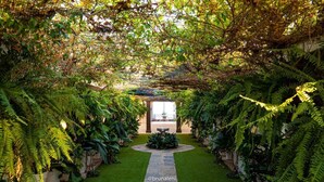 A garden pathway leading to a building entrance, surrounded by lush greenery and ferns. - Vila Mar Hotel (Olinda)