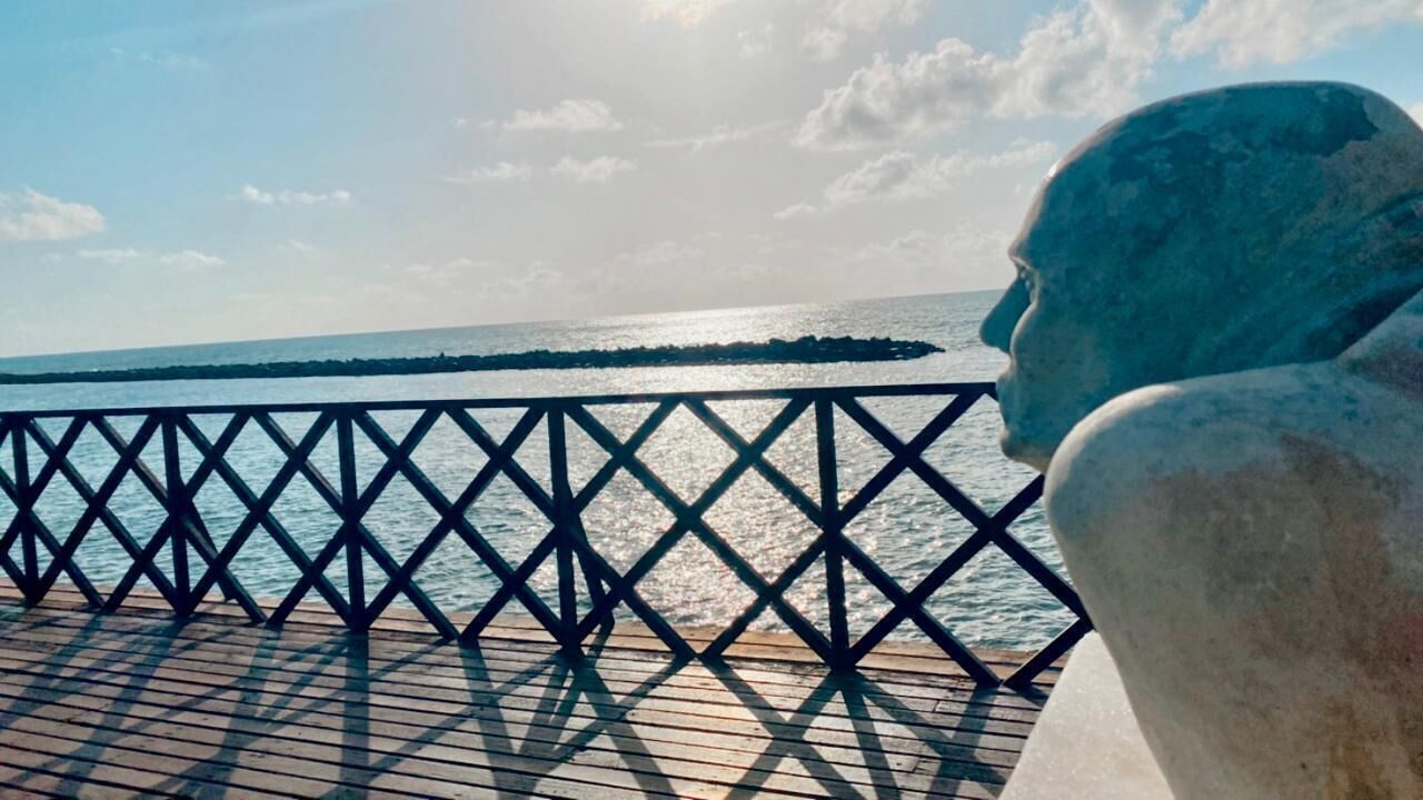 A wooden deck with a metal railing overlooking a body of water.