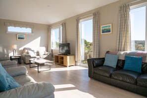 Televisor i llar de foc