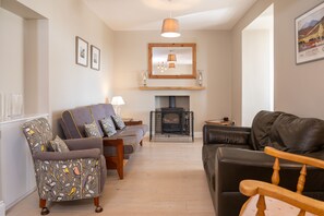 Televisor i llar de foc