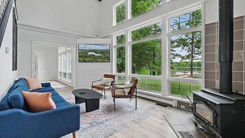 Smart TV, chimenea, libros, monitor de computadora