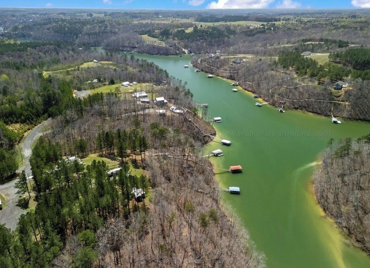 An aerial view of a river with boats, surrounded by forested areas and some buildings.
