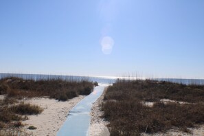 A beach path leading to the ocean with sparse vegetation on either side.
