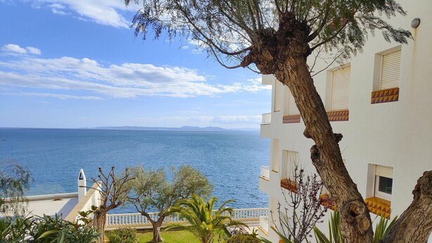 A coastal building with a view of the sea, a staircase leading to the entrance, and a palm tree in the foreground. - 2222 - MEDITERRANEO A 1-8, HOLIDAYS ON THE ROCKS, 1st LINE OF SEA, PRIVILEGED AREA, SEA VIEW. (Roses)