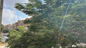 Un quartier résidentiel avec des immeubles à plusieurs étages, une rue bordée de voitures garées et un feuillage verdoyant et dense au premier plan.