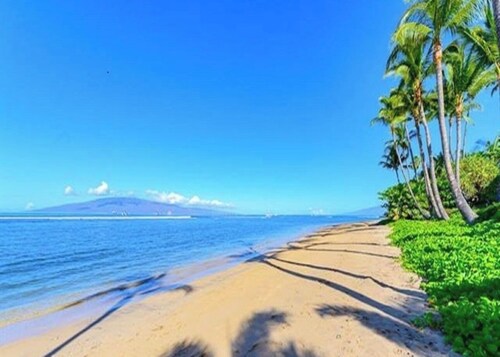 Oceanfront Stunning Ocean Views in Paradise at Lahaina Shores Studio