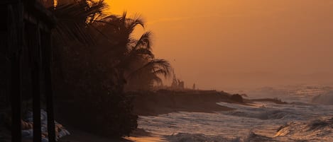 A beach with palm trees and waves.