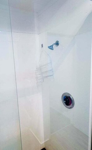 Hair dryer, towels, shampoo, toilet paper