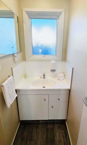 Hair dryer, towels, shampoo, toilet paper