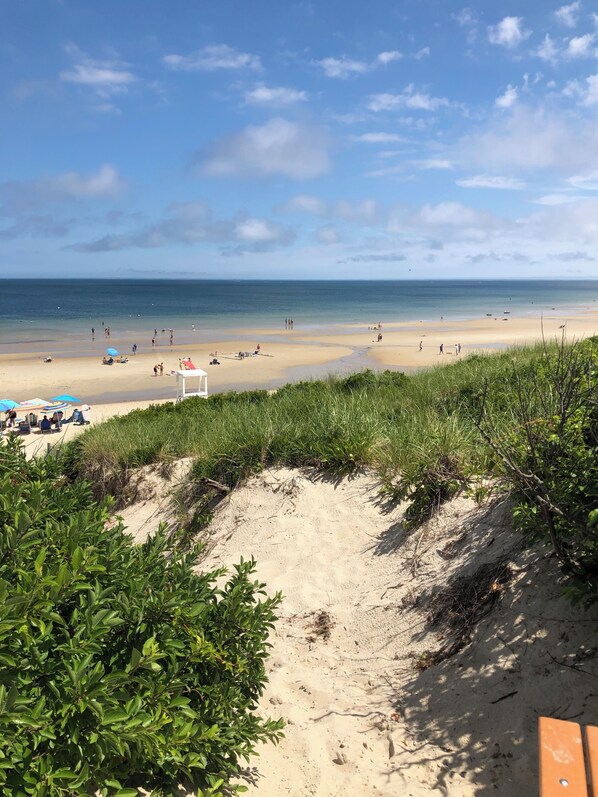 Sun loungers, beach towels