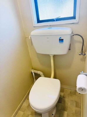 Hair dryer, towels, shampoo, toilet paper