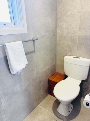 Hair dryer, towels, shampoo, toilet paper