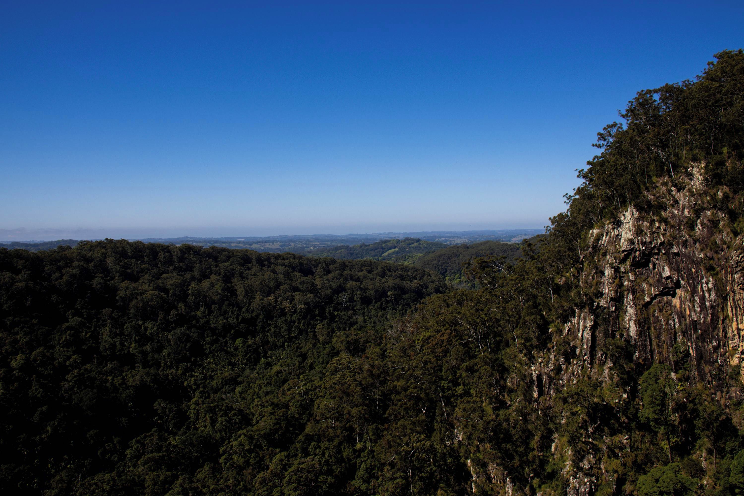 A forested landscape with a clear sky.