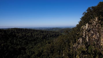 A forested landscape with a clear sky.
