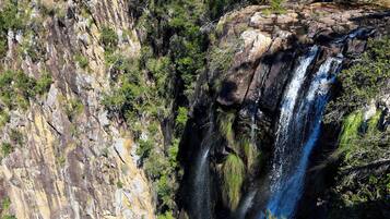 A waterfall cascading down a rocky cliff surrounded by dense vegetation.