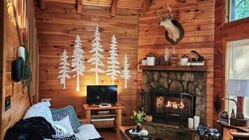 Smart TV, fireplace, video games, books