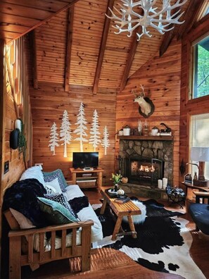 Smart TV, fireplace, video games, books