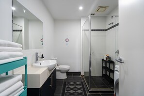Shower, hair dryer, towels