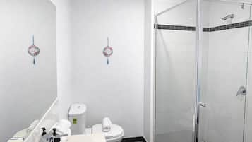 Shower, hair dryer, towels