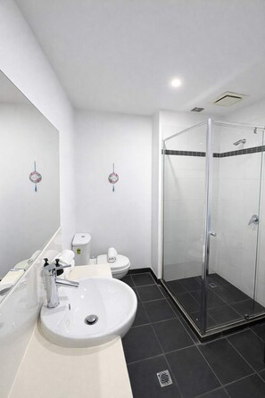 Shower, hair dryer, towels