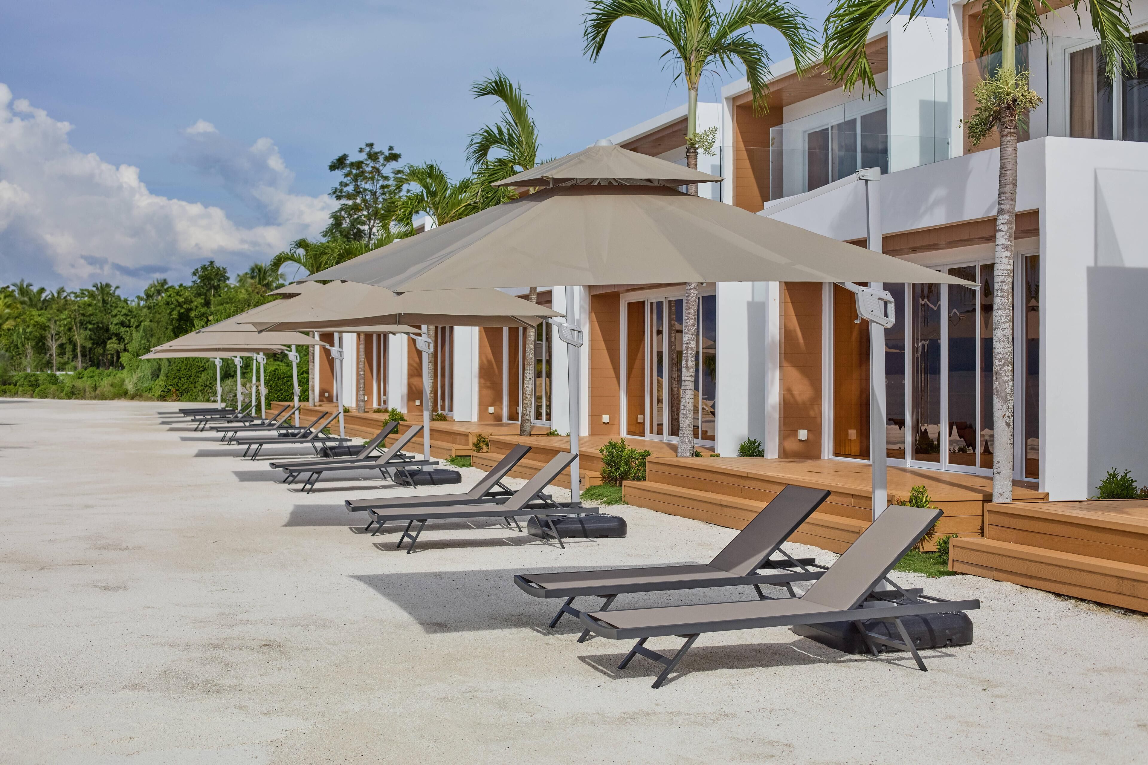 A row of sun loungers with umbrellas, a modern building with large windows, and palm trees in the background.