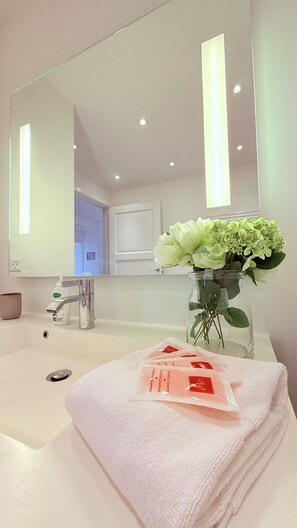 Shower, hair dryer - City Apartment in Copenhagen with 1 bedrooms sleeps 4 (Copenhagen)