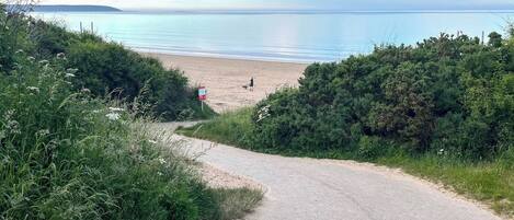 A paved path leading to a beach with a person and a dog, surrounded by greenery.