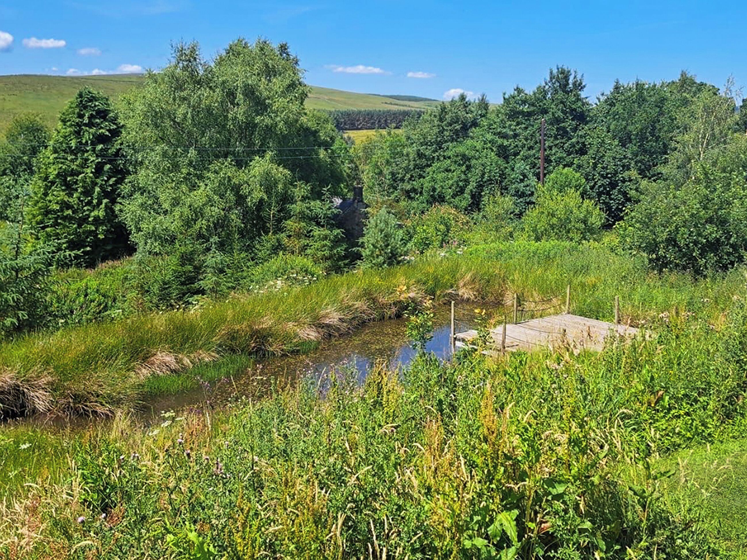 Paisaje natural con un pequeño estanque, abundante vegetación y una estructura de madera cerca del agua.