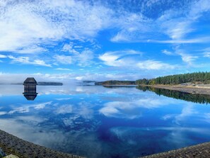 Unclassified image, 2 of 15, button