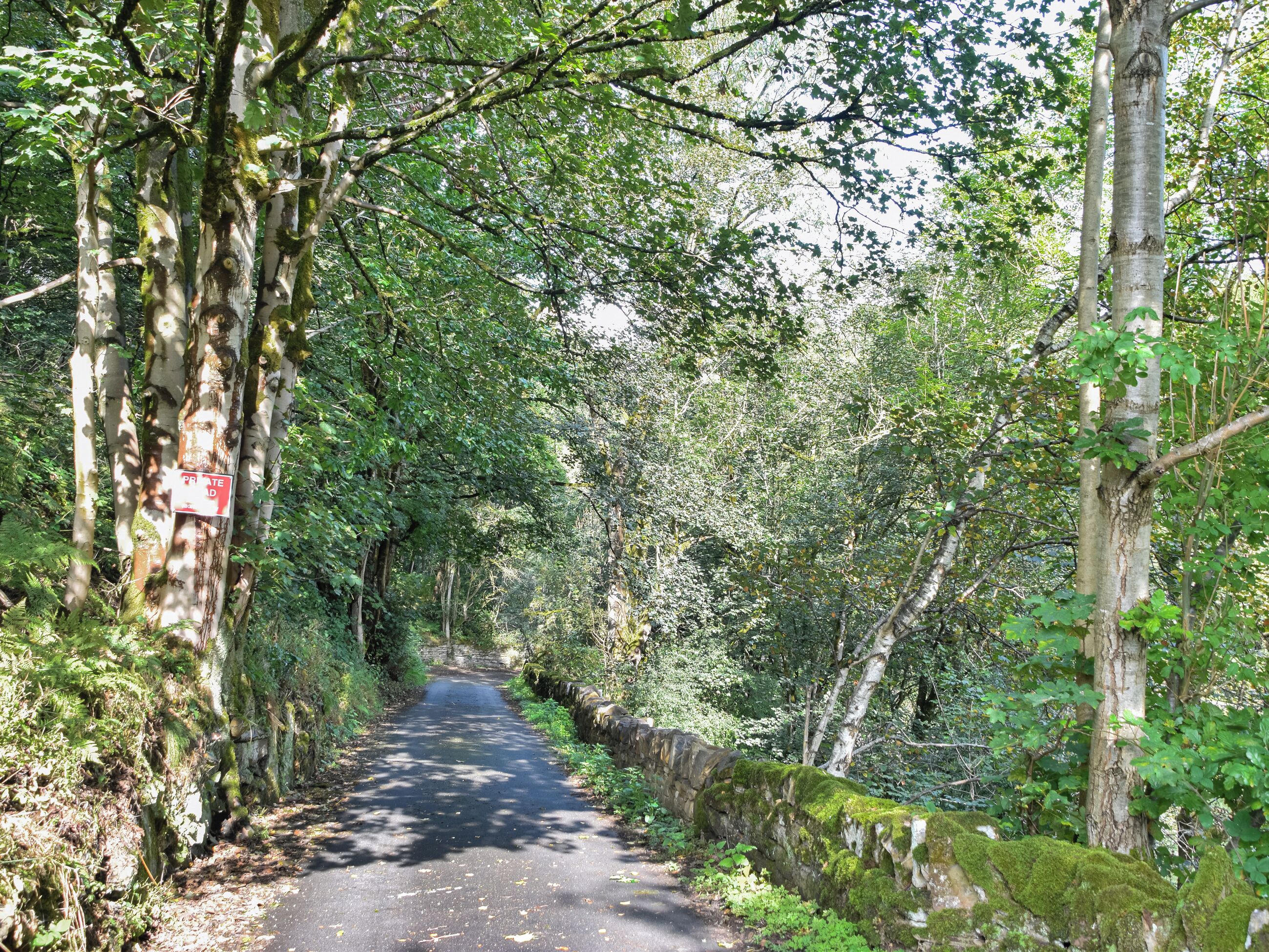 Une route étroite, bordée d’arbres, avec un mur de pierres d’un côté et une pancarte indiquant « PROPRIÉTÉ PRIVÉE » fixée à un arbre.