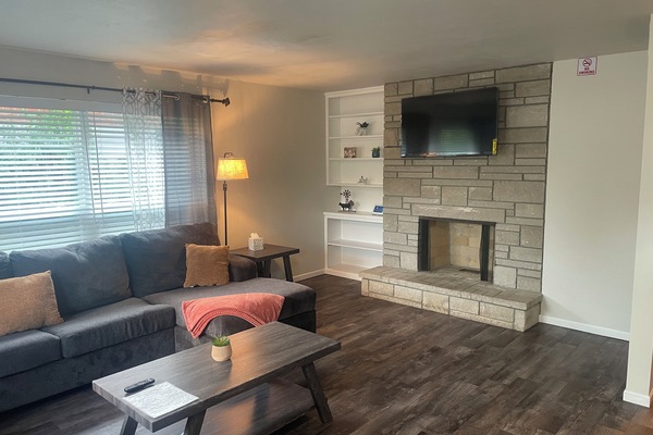 TV, fireplace