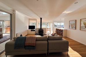 TV, fireplace