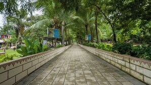 A paved walkway lined with palm trees and greenery, leading to a building with a sign indicating a restaurant.