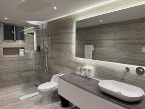 Shower, hair dryer, towels, soap