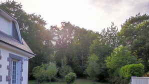 A house with a gravel driveway and a stone pathway leading to the entrance. - The little house in the forest (Clohars-Fouesnant)