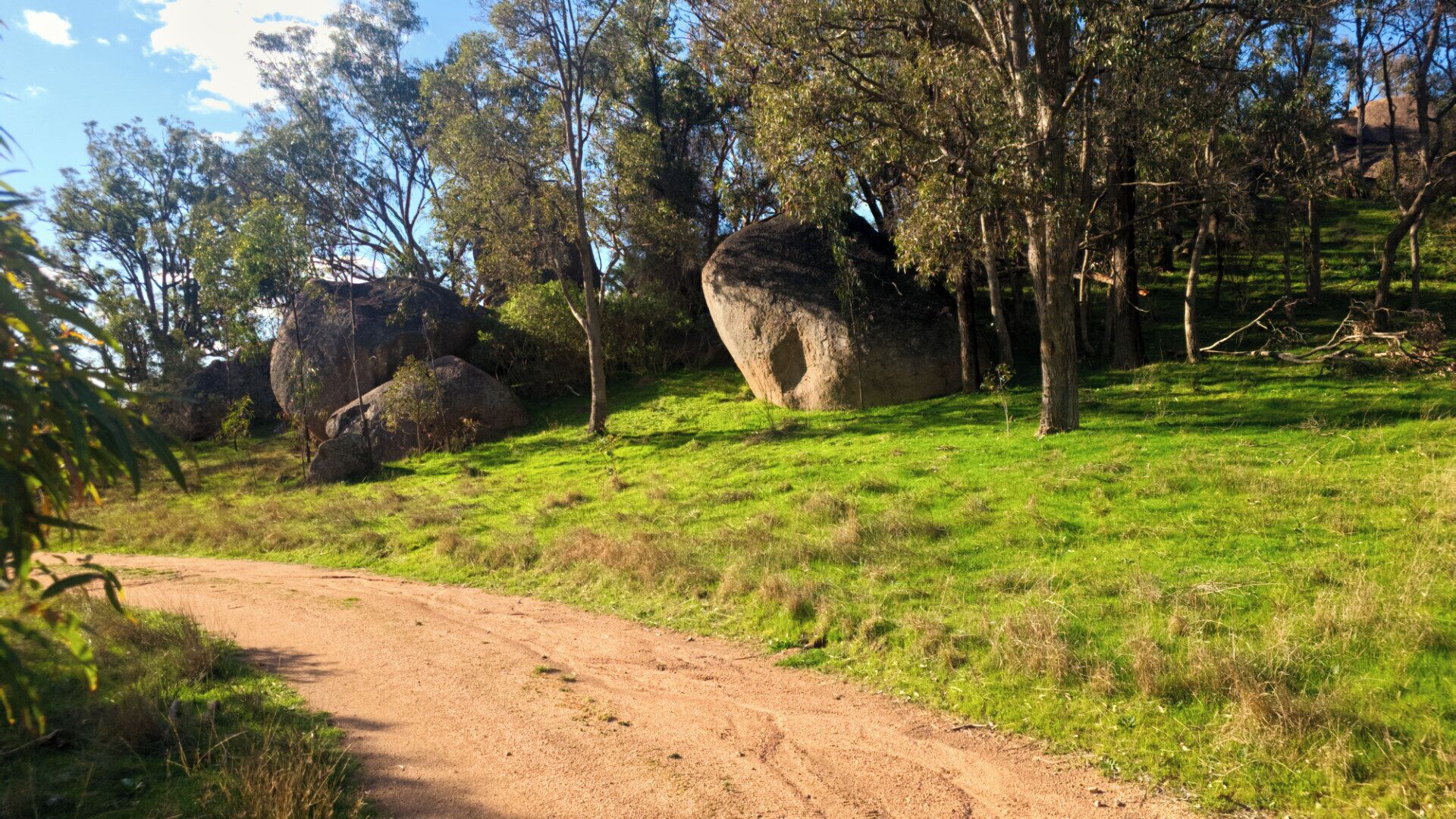 A dirt path in a grassy area with large boulders and trees.