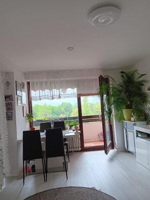 Interior - Vacation apartment Lona, 1-3 pers., 45 sqm, living/bedroom (Bad Reichenhall)
