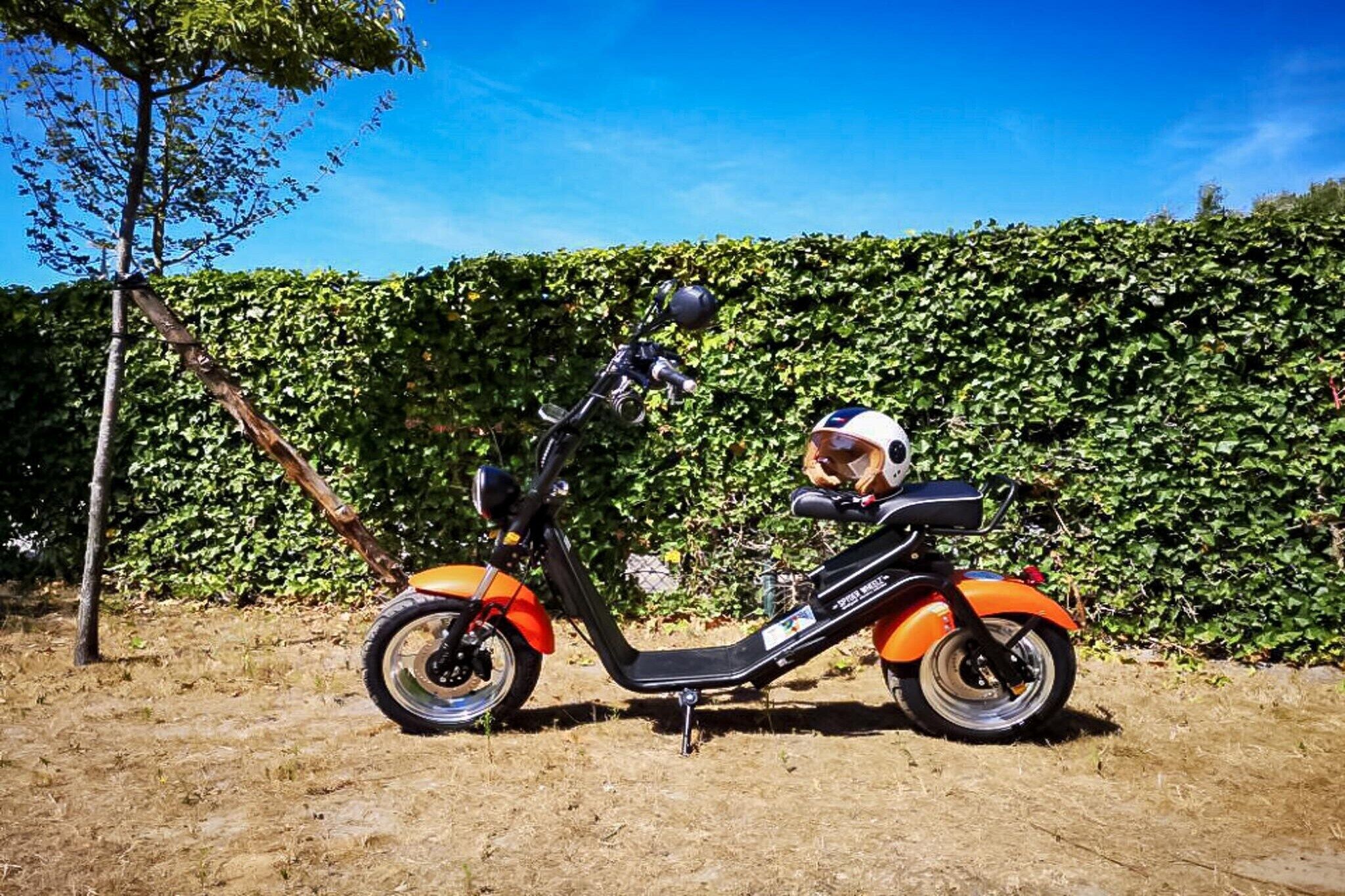 Ein orangefarbener Roller steht auf einer Rasenfläche, ein Helm ist darauf, im Hintergrund ist eine Hecke zu sehen.
