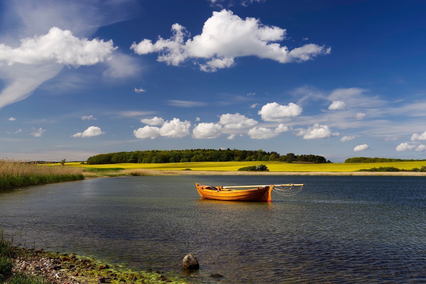 A boat on a calm lake with a clear sky and green fields in the background.