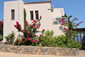 المنطقة المحيطة بالمنشأة