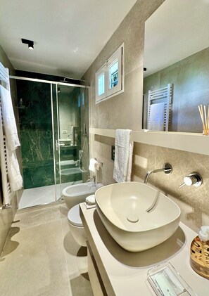 Shower, hair dryer, bidet, towels