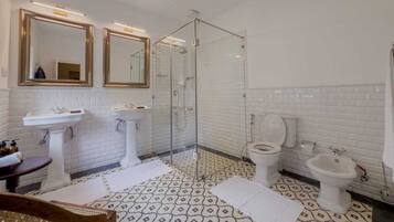 Shower, hair dryer, bidet, towels