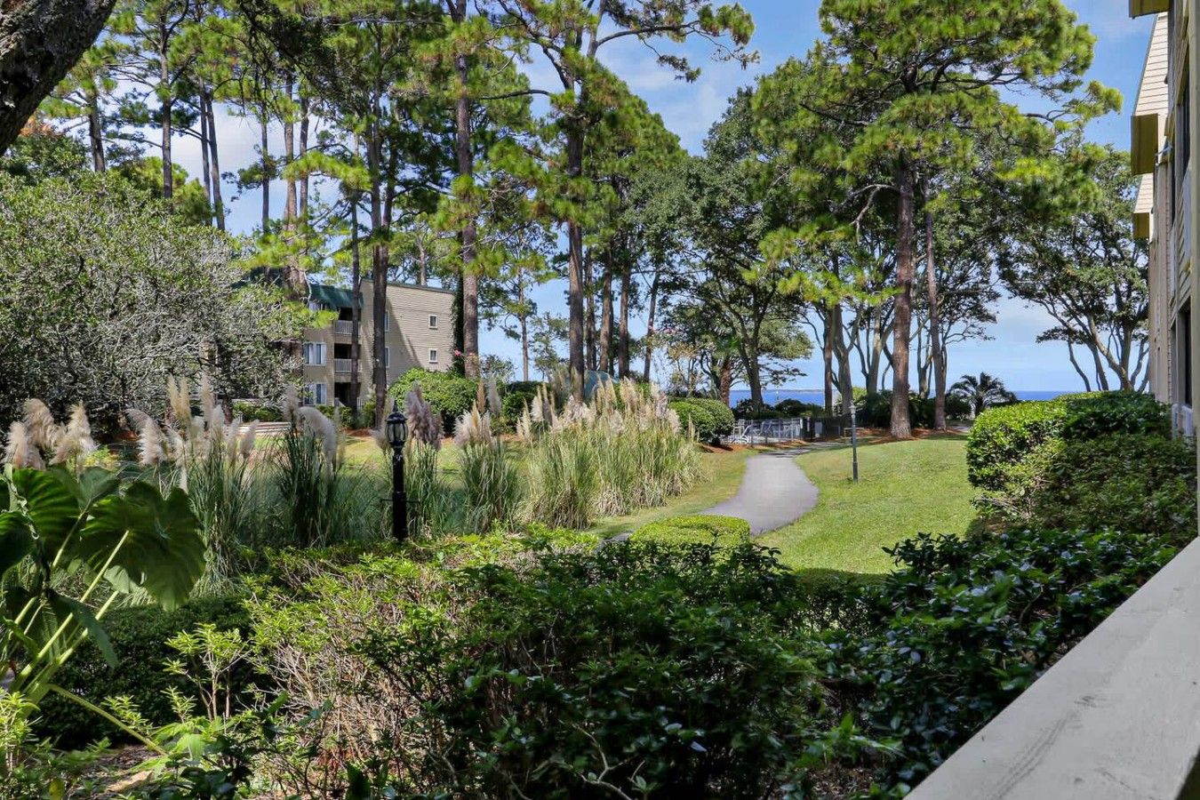 Un quartier résidentiel avec un chemin menant à un bâtiment, le tout entouré d’arbres et de verdure.